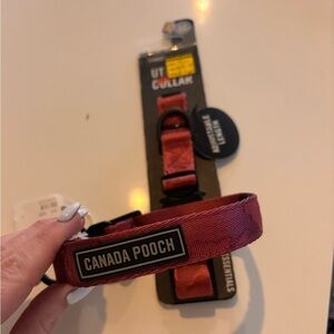 Canada Pooch Burgundy Adjustable Dog Collar